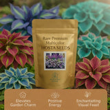 🍃🌸 9 Rare & Breathtaking Premium Multicolor HOSTA SEEDS 🌸🍃