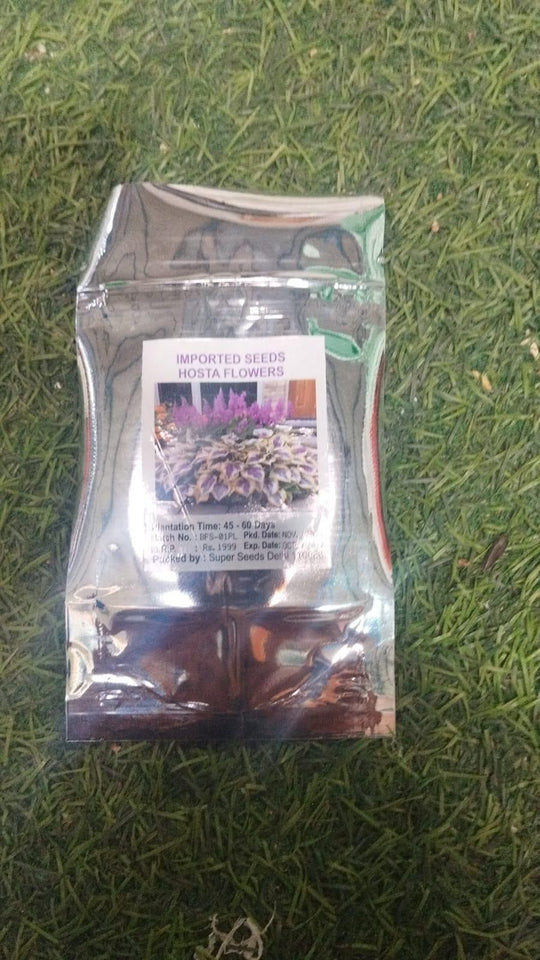 🍃🌸 9 Rare & Breathtaking Premium Multicolor HOSTA SEEDS 🌸🍃