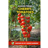 🍅 Waterfall Cherry Tomato Seeds