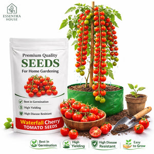 🍅 Waterfall Cherry Tomato Seeds