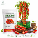 🍅 Waterfall Cherry Tomato Seeds