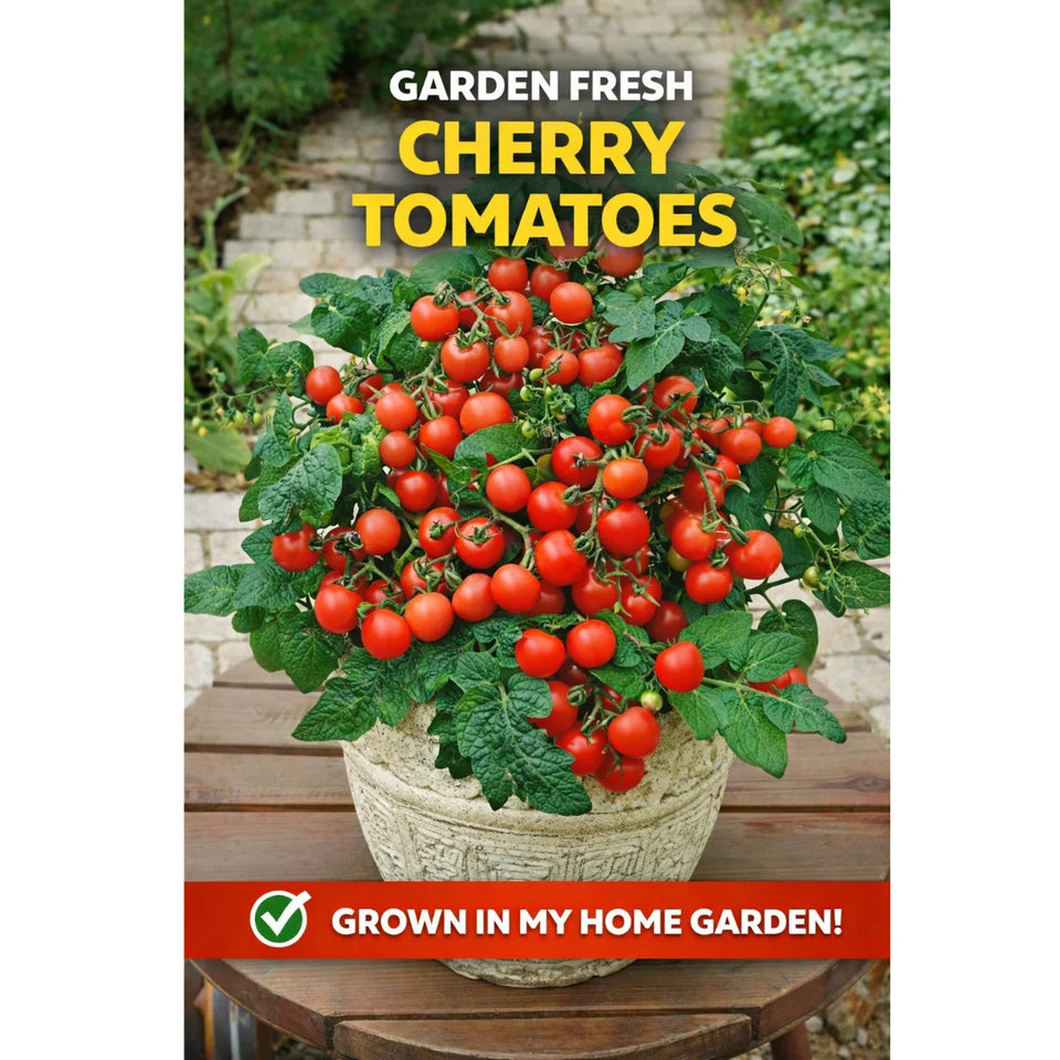 🍅 Waterfall Cherry Tomato Seeds