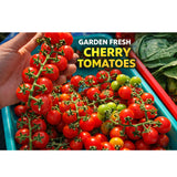 🍅 Waterfall Cherry Tomato Seeds