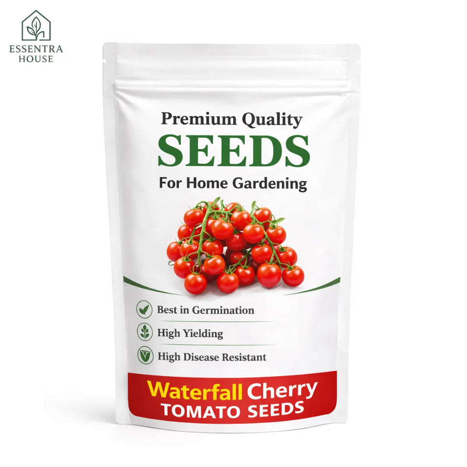 🍅 Waterfall Cherry Tomato Seeds